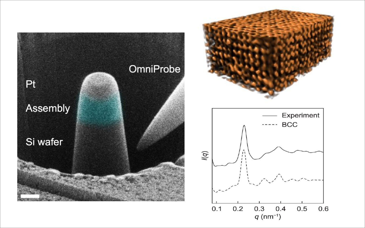 focused ion beam and X-ray tomography