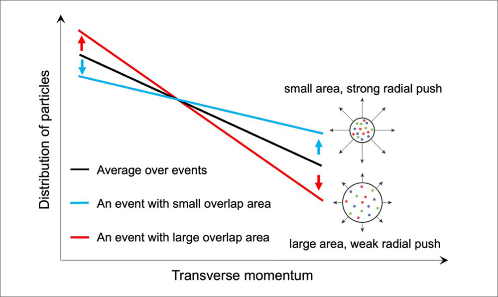 schematic illustration