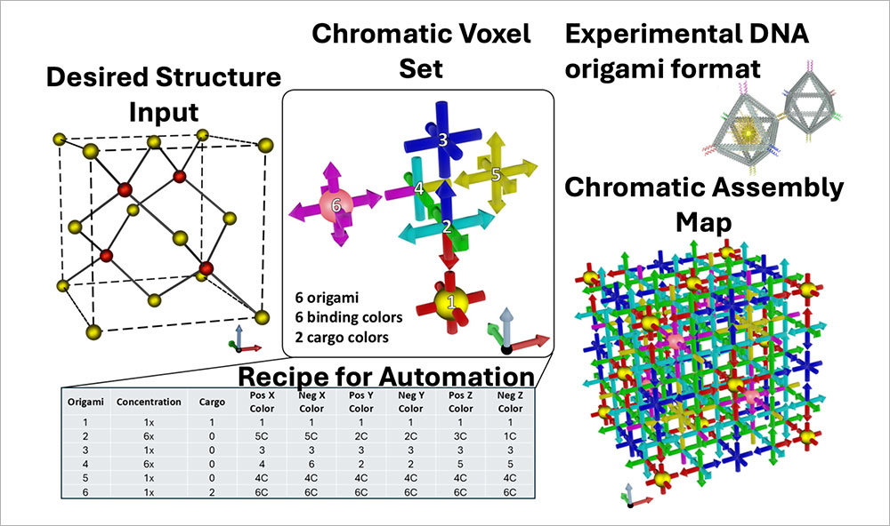 Algorithm schematic