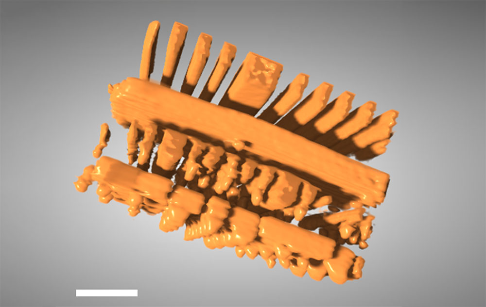 3D reconstruction of an integrated circuit showing internal layers, created using an AI-assisted tom