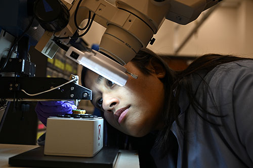 Preetha Sarkar looks at a sample under a microscope