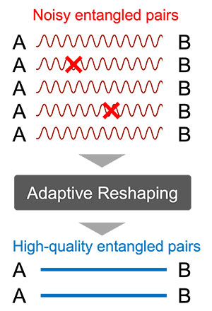 Adaptive reshaping converts many noisy entangled pairs into fewer high-quality ones.