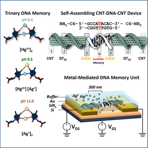 Illustration of the pH-mediated metal switching on the nanofabricated platform.