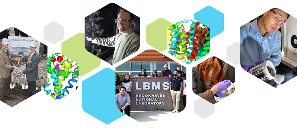 LBMS images