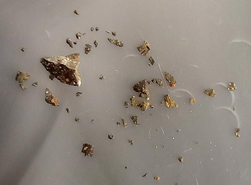 Murchison meteorite pieces