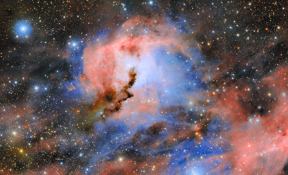 Seagull Nebula