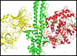 Structure of New Botulism Nerve Toxin Subtype