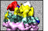OT structure floating on the raw cryo-EM micrograph