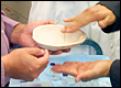 Synthetic Peptide that Enhances Bone Growth