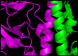 Protein Structure