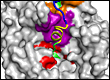 botulism toxin