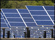 LI solar farm