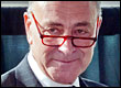 Senator Schumer