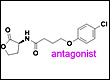 quorum sensing