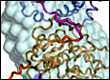 p38alpha:HePTP enzyme