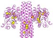 protein structures