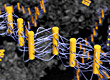 DNA-tethered nanorods