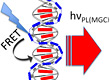 Light-up DNA sensors