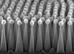 nanotextured square of silicon