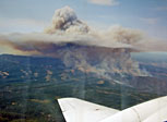 wildfire plumes