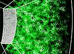 map spanning distances of billions of light years