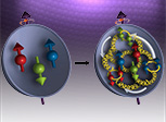 Proton Spin