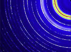 Neutron-irradiated sample