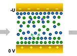 ionic reconfigurations near gold electrodes