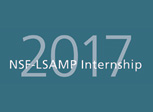 2017 NSF LSAMP Internship