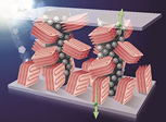 Polymer based solar cell