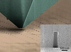 scanning electron micrograph image