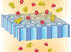 schematic illustration