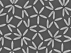 nanofabricated Permalloy elements