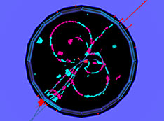 A hadronic event in the Belle II detector