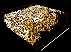 Three-dimensional reconstruction of nanoporous stainless steel