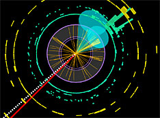 Higgs boson decay