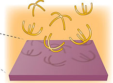 Illustration of 3D fabrication process