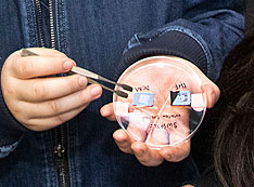 Scientists prepare to mount the membrane samples