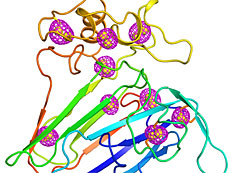 A cartoon representing the structure of a well-studied plant protein