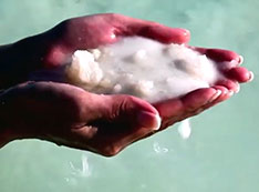 Salt for the earth image