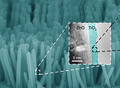 scanning electron microscope image of the titania-coated nanowires