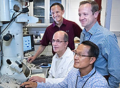 Myung-Geun Han, Ivan Bozovic, Yimei Zhu, and Anthony Bollinger