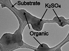 change of shapes and element distributions of biomass burning aerosol samples