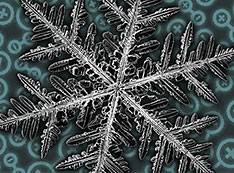 a snowflake's geometric fractals