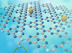 Illustration of a 2D nanosheet with two catalysts