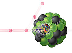 Electron-Ion Collision