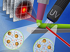 Schematic showing the experimental setup to study the microscopic dynamics of the resin during 3D pr