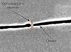 Schematic illustration