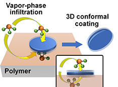 schematic 3D conformal coating layer of a microdisc laser