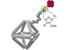 DNA oragami